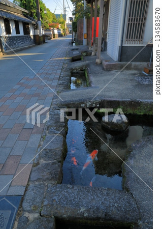 島原錦鯉町水道風光,錦鯉在此游弋。 島原錦鯉町水道風光,錦鯉在此游弋。 134583670