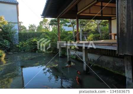 In front of the room is Shimabara Spring Water Garden Shimeiso, a spring-fed pond where Nishikigoi carp swim. In front of the room is Shimabara Spring Water Garden Shimeiso, a spring-fed pond where Nishikigoi carp swim. 134583675