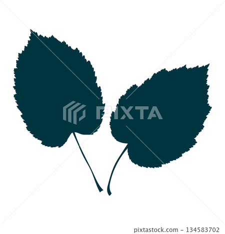 Two hand-drawn leaves silhouettes on the transparent background. Flat style vector illustration. Two hand-drawn leaves silhouettes on the transparent background. Flat style vector illustration. 134583702