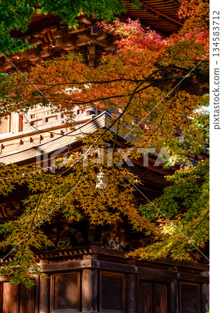 秋葉環繞的寶塔 134583712