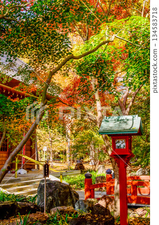 Kuhonji Temple decorated with autumn leaves Kuhonji Temple decorated with autumn leaves 134583718
