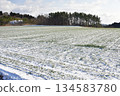 Photographing the snow-covered autumn wheat fields in Otobe, Hokkaido in winter 134583780
