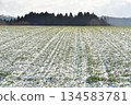 Photographing the snow-covered autumn wheat fields in Otobe, Hokkaido in winter 134583781