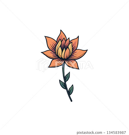 Delicate botanical illustration showcasing vibrant orange flower on a slender stem, isolated 134583987