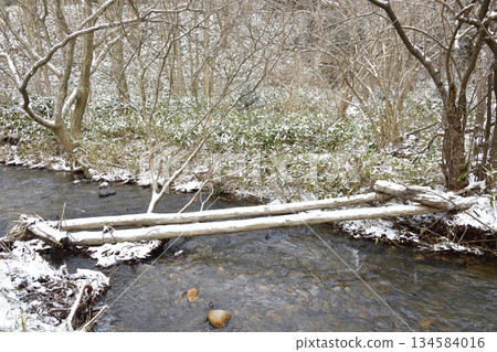 Photographing the snowy scenery of a stream in Otobe, Hokkaido in winter 134584016