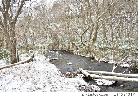 Photographing the snowy scenery of a stream in Otobe, Hokkaido in winter 134584017
