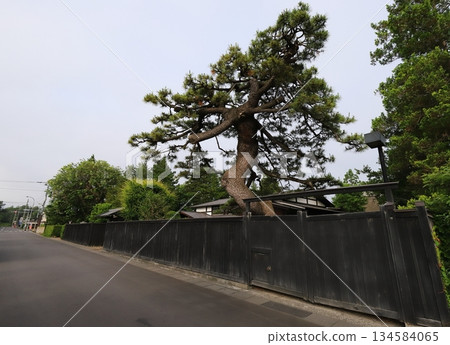 青森縣、弘前市、弘前市中町歷史街區街景 134584065