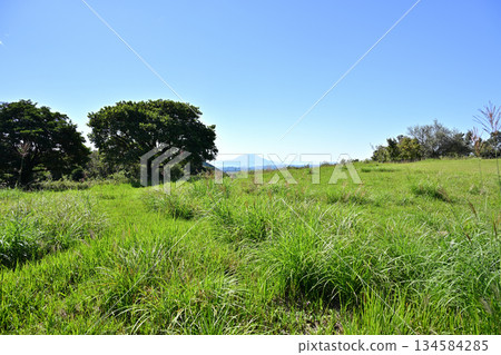 柳原步道觀景台及其廣闊的綠地 134584285