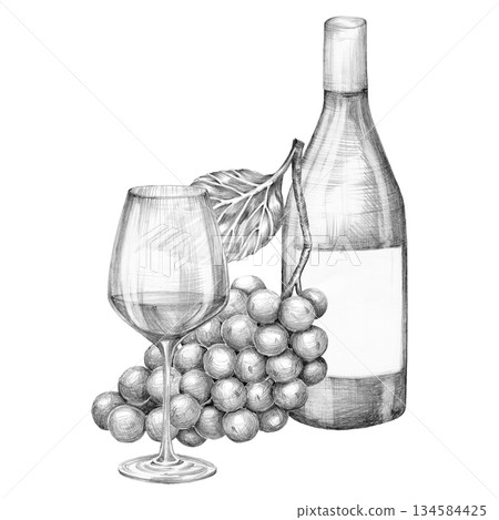 Composition of a bottle of wine, a glass and a bunch of grapes. Hand drawn with a pencil without a background 134584425