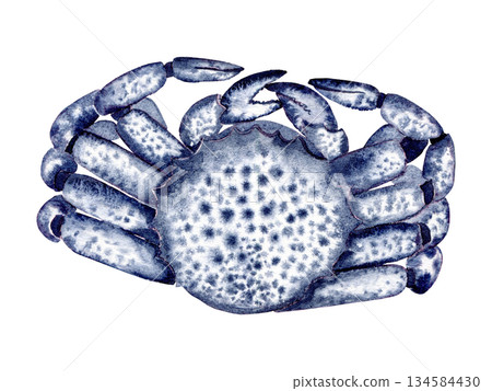crab blue with spots. Hand drawn with watercolor with texture. for fish restaurant design, menu crab blue with spots. Hand drawn with watercolor with texture. for fish restaurant design, menu 134584430