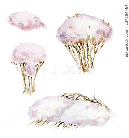 bushes of plants under a cap of snow from above. Winter, cold plants. Hand-drawn with watercolors 134584464