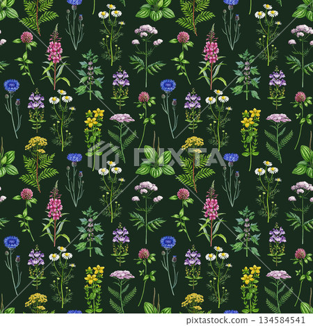 Medicinal wildflowers and herbs hand drawn seamless pattern. Blooming yarrow, tansy, plantain, cornflower, chamomile, valerian wild healing plants watercolor illustration elements on dark background Medicinal wildflowers and herbs hand drawn seamless pattern. Blooming yarrow, tansy, plantain, cornflower, chamomile, valerian wild healing plants watercolor illustration elements on dark background 134584541