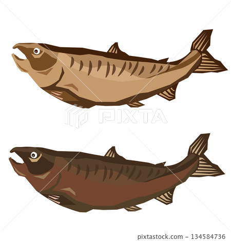 Woodcarving-style salmon illustration set 134584736