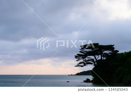 黎明時的大海－西表島風景 134585043