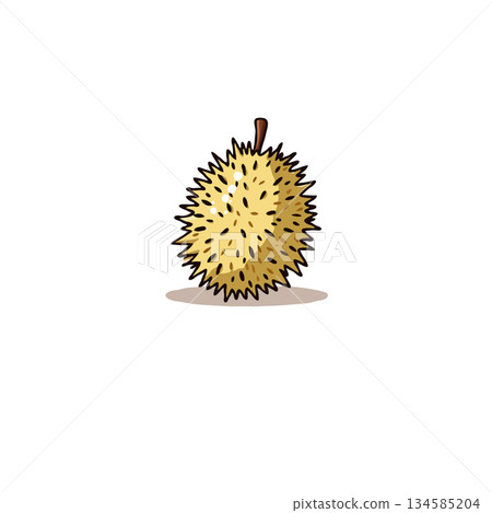 Illustrative rendering displaying a durian fruit complete with its characteristic thorny exterior Illustrative rendering displaying a durian fruit complete with its characteristic thorny exterior 134585204