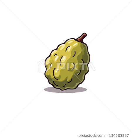Artistic illustration of a soursop fruit depicting its unique textured rind and distinctive shape Artistic illustration of a soursop fruit depicting its unique textured rind and distinctive shape 134585267