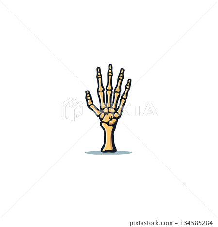 Stylized skeletal hand raising in anatomical illustration, presenting the intricate framework, 134585284