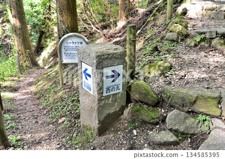 朝助城（又稱「真弓山城」）－位於愛知縣豐田市，是一座修復後的中世紀山地城堡公園 134585395