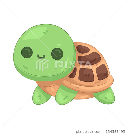 Illustration of turtle  134585495