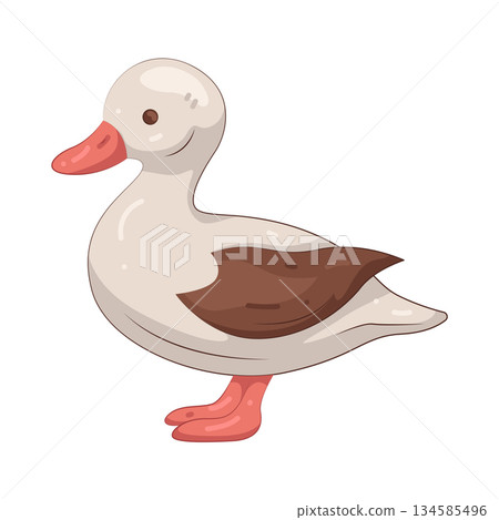 Illustration of duck 134585496
