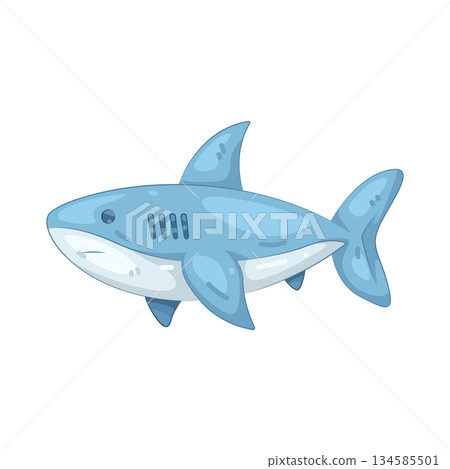 Illustration of shark 134585501