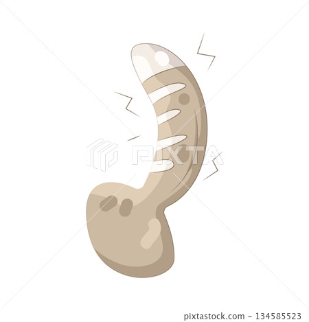 Illustration of cat tail  134585523