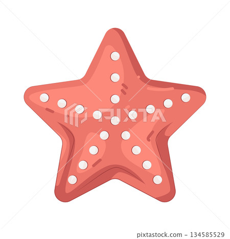 Illustration of starfish Illustration of starfish 134585529