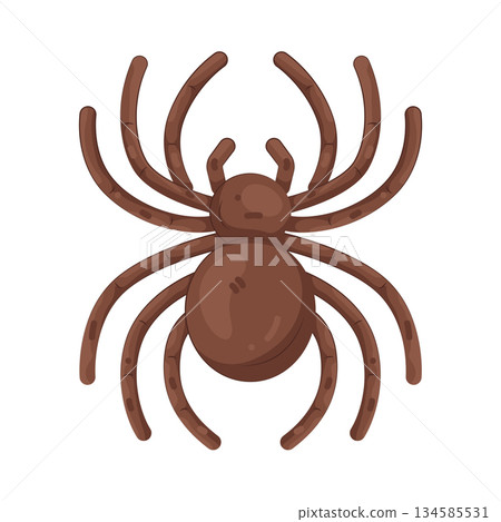 Illustration of spider 134585531