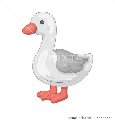 Illustration of duck Illustration of duck 134585532