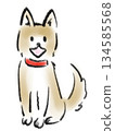 Illustration of a smiling dog wearing a red collar sitting 134585568