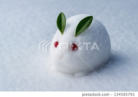 Cute Snow Rabbit 134585791