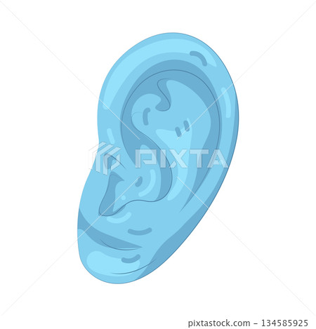 Illustration of ear recognition  134585925