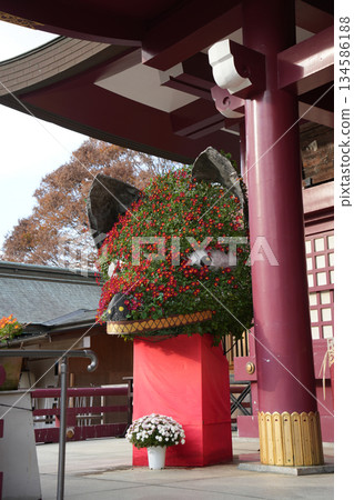 笠間稻荷神社菊花節 笠間稻荷神社菊花節 134586188
