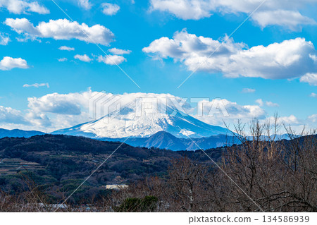[Kanagawa Prefecture] Mount Fuji as seen from Azumayama Park in Ninomiya Town 134586939