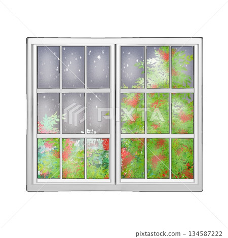 Nandina reflected in the window 134587222