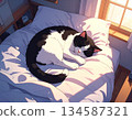 睡在床上的貓 134587321