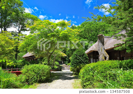 一個被綠色植物環繞的村莊 134587508