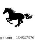 Vector illustration of a running horse silhouette 134587570