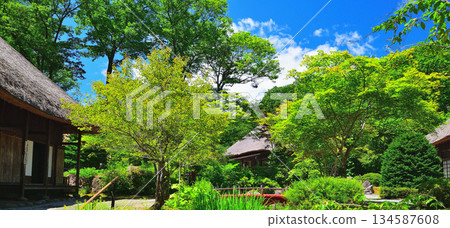 一個被綠色植物環繞的村莊 134587608