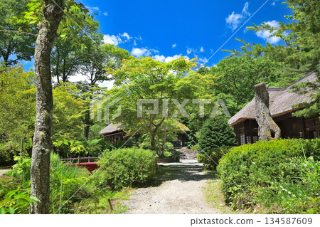 一個被綠色植物環繞的村莊 134587609