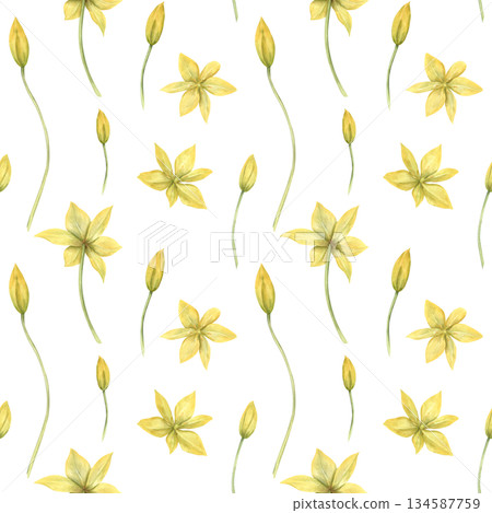 Wild yellow tulips watercolor seamless pattern on isolated background. Hand painted bright spring primrose illustration. Floral ornate for textile printing, wallpaper, festive packaging. Wild yellow tulips watercolor seamless pattern on isolated background. Hand painted bright spring primrose illustration. Floral ornate for textile printing, wallpaper, festive packaging. 134587759