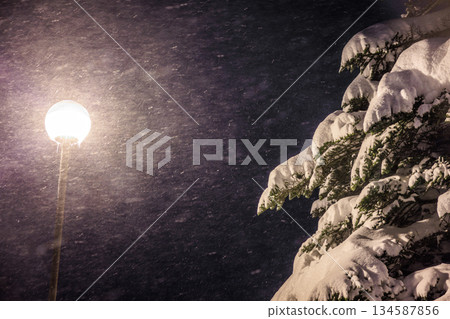Snow-covered fir trees and street lamps 134587856