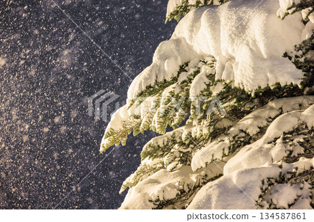 Snow-covered fir trees and street lamps 134587861