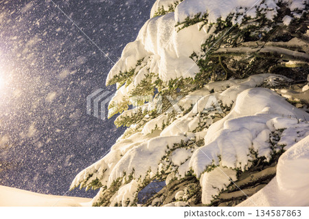Snow-covered fir trees and street lamps 134587863