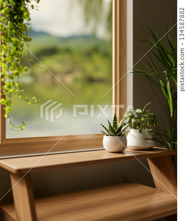 Potted succulent on wooden display shelf aside windowsill with hanging plant and outside waterscape. 134587882