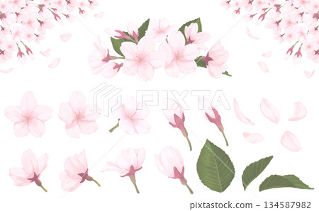 櫻花_手繪插畫集 134587982