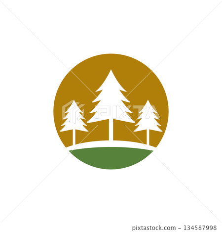 Christmas pine tree icon Christmas pine tree icon 134587998