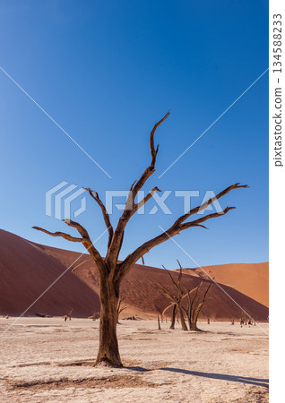 Barren landscape near Deadvlei and sossusvlei Barren landscape near Deadvlei and sossusvlei 134588233