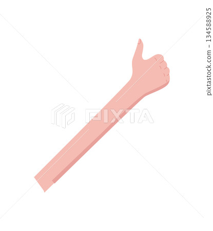 Flat cartoon hand with thumb up. Bare palm and finger show number one. Simplistic arm gesture with soft skin tone. Isolated concept for approval, liking, or educational counting. Flat cartoon hand with thumb up. Bare palm and finger show number one. Simplistic arm gesture with soft skin tone. Isolated concept for approval, liking, or educational counting. 134588925
