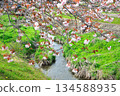 妙德寺川沿岸的櫻花樹 妙德寺川沿岸的櫻花樹 134588935